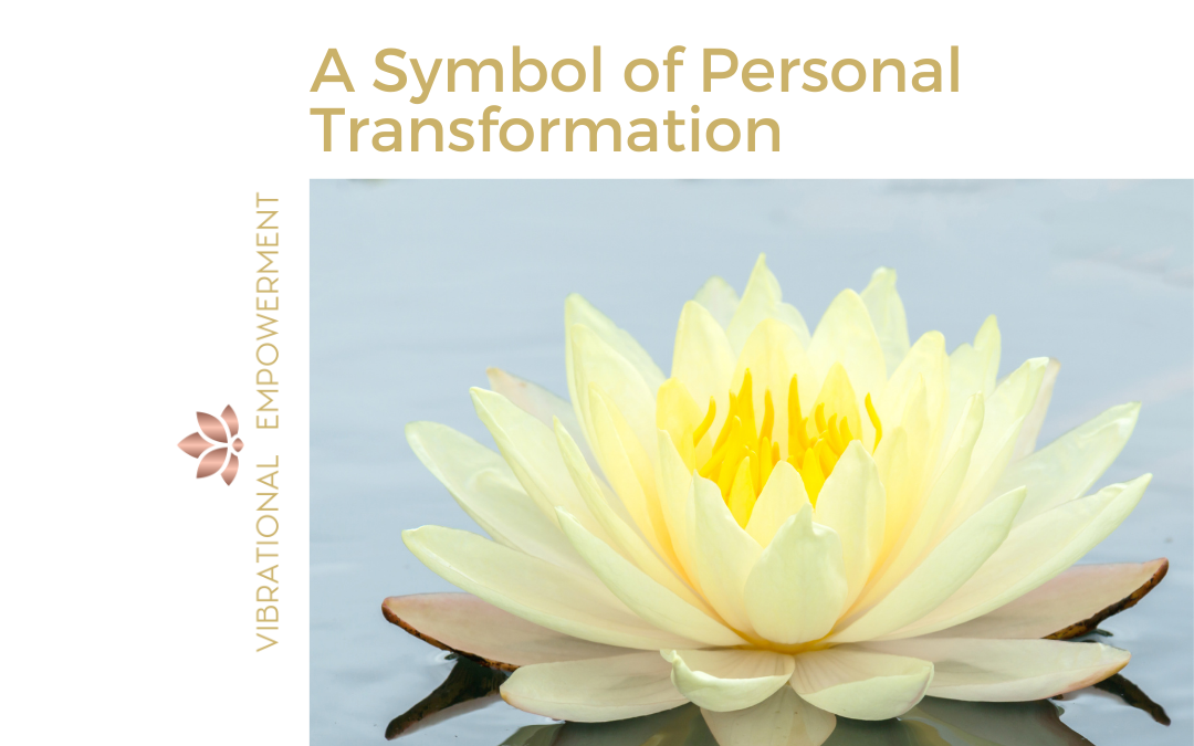 The Lotus Flower: A Symbol of Personal Transformation